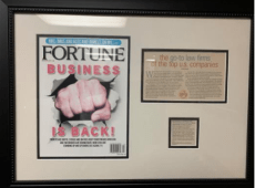 Fortune Business